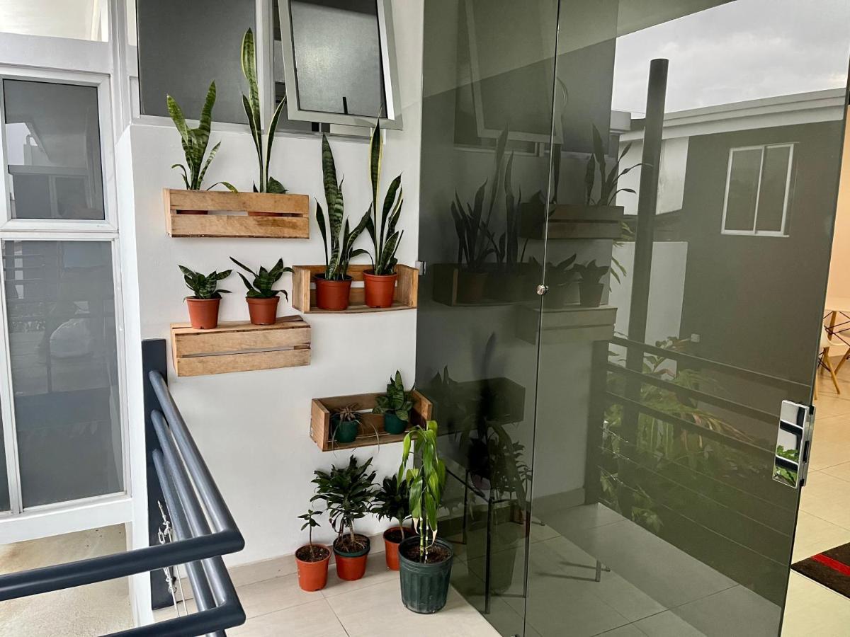 Costa Rica San Jose Full And Comfortable Apartament Pinares Curridabat Luaran gambar