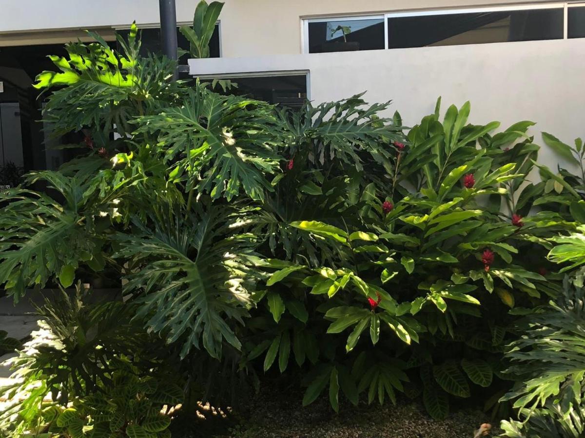Costa Rica San Jose Full And Comfortable Apartament Pinares Curridabat Luaran gambar